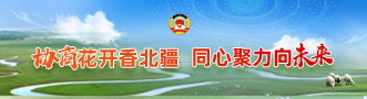 協商花開香北疆同心聚力向未來